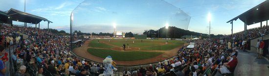 Myrtle Beach Pelicans
